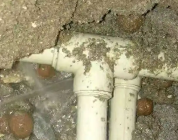 海棠测漏水多少钱