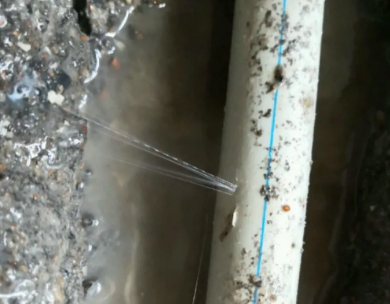 海棠测漏水哪家好