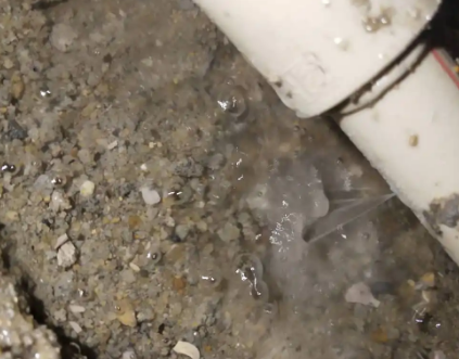 海棠测漏水电话号码