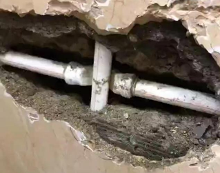 海棠测漏水哪家好