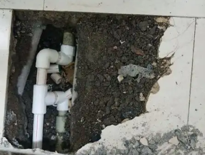 海棠测漏水哪家好