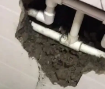 海棠漏水检测电话