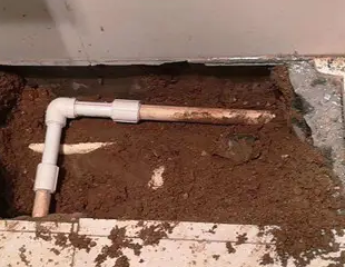 海棠测漏水哪家好