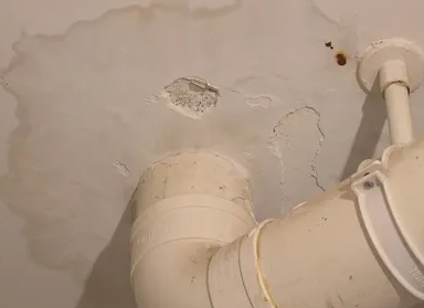 海棠卫生间测漏水多少钱