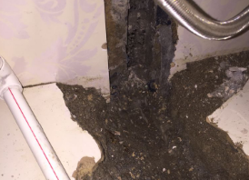 海棠卫生间测漏水哪家好