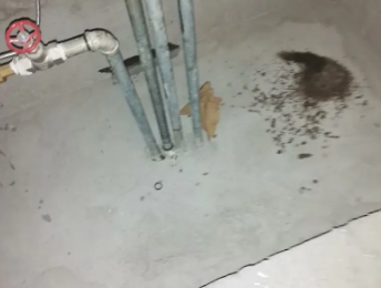 海棠卫生间测漏水价格明细