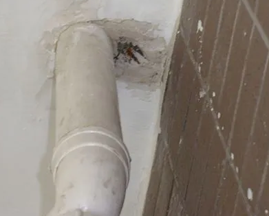 海棠漏水检测哪家好