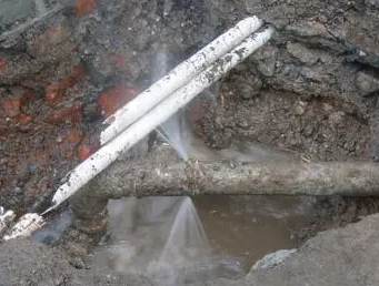 海棠测漏水多少钱